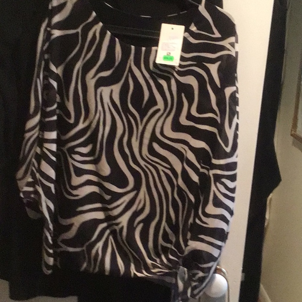 Sheer lightweight and lined timeless style blouse brand new never worn